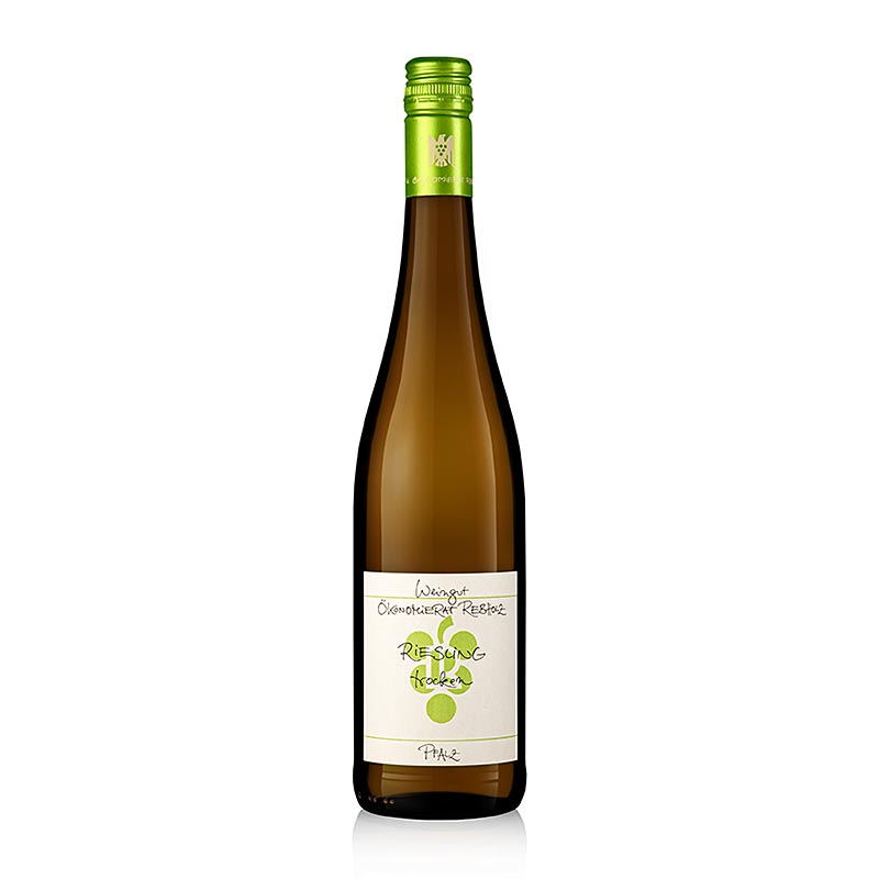 2023er Riesling QW, trocken, 12 % vol., Rebholz, BIO - 750 ml - Flasche