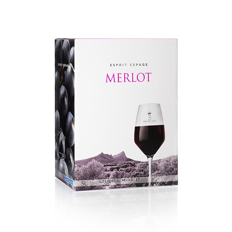 Merlot, trocken, 13% vol., Bag in Box, Coteaux du Pic - 5 l - Bag in box