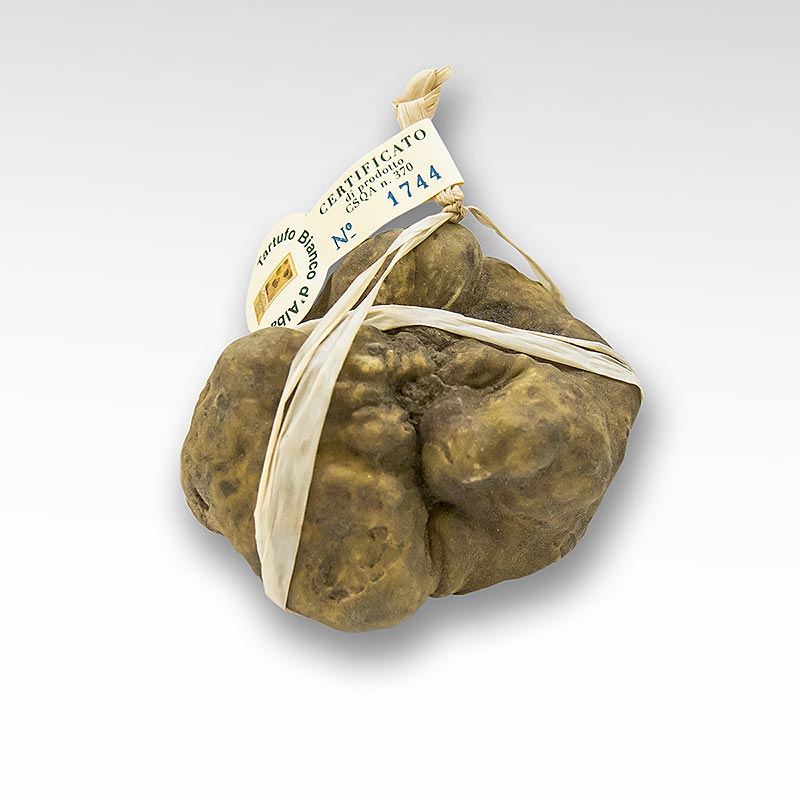 Truffe blanche - d`Alba (Tuber magnatum pico) - CERTIFICAT ALBA, EMBALLEE INDIVIDUELLEMENT - par gramme - Lache