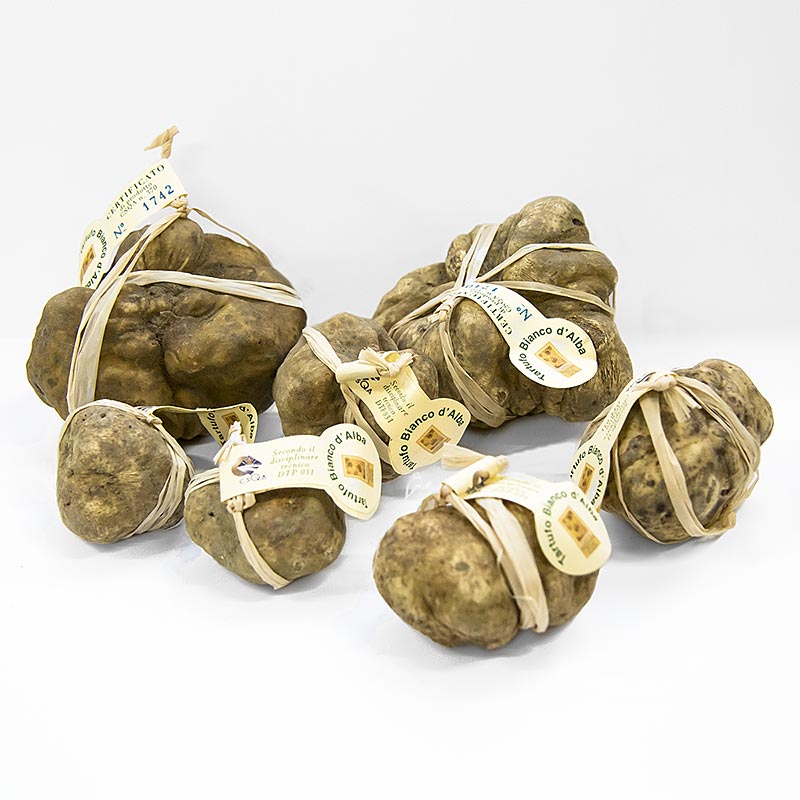 Truffe blanche - d`Alba (Tuber magnatum pico) - CERTIFICAT ALBA, EMBALLEE INDIVIDUELLEMENT - par gramme - Lache