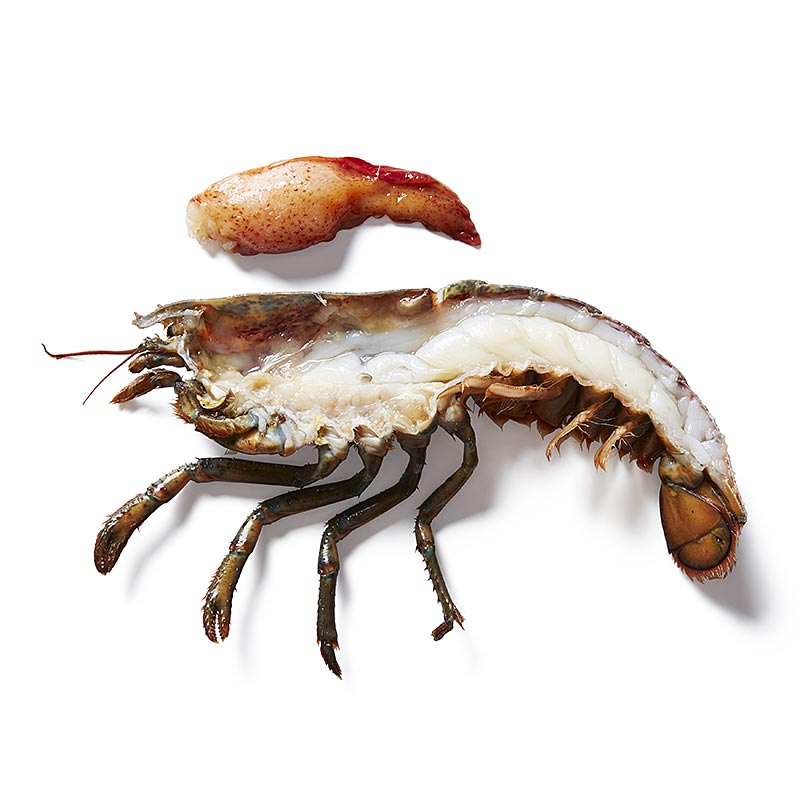 HPL Hummer, homard coupé en deux avec des ciseaux à coquille dans le sac de cuisson - 400 g, 2 pcs. - sac