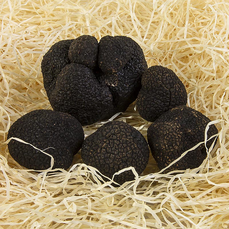 Trøffel Winter-Edeltrüffel - Knol Melanosporum EXTRA, frisk, fra Australien, knolde fra ca. 30g, tilgængelig fra juni til august (DAGLIG RATE) - pr. gram - -