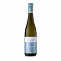 2023 Pinot Gris, seco, 12% vol., Andres, ecologico - 750ml - Botella