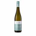 2023 Sauvignon Blanc, seco, 12% vol., Andres, ecologico - 750ml - Botella