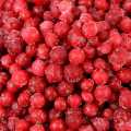 Red currants - 2.5kg - bag