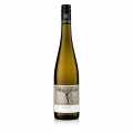 F. Becker 2022 Riesling anggur putih kering QW Pfalz 0.75 l - 750ml - Botol