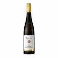 2021 Rudesheim Berg Schlossberg Riesling GG, uscat, 12,5% vol., artist - 750 ml - Sticla