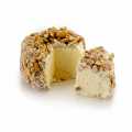 Triple crema con nueces, preparacion de queso (tipo Brillat Savarin), Girard - 200g - Ampollas