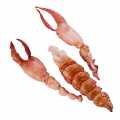 Homard canadien HPL, chair pinces+queue - environ 142 g - vide