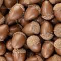 Acorn with cap, made of chocolate, 35x23mm, Dobla (77080) - 210 g, 40 pieces - blister packs