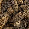 Morel heads, jumbo, dried, Borde - 800 g - bag