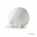 Kastbergs - Coconut Sorbet - 5 l - PE shell