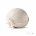 Kastbergs - Vanilla Ice Cream - 5 l - PE shell