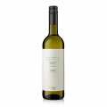 2023 Sauvignon Blanc, kuru, %12 hacim, Martin Furst - 750 ml - Sise