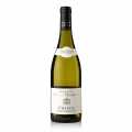 2023 Chablis-valkoviini, kuiva, 12,5 vol., L. Moreau - 750 ml - Pullo