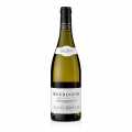 2023 Bourgogne Chardonnay AC Burgundsko, bile vino, suche, 12,5 % obj., L. Moreau - 750 ml - Lahev