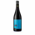 2022 Blaufrankisch, droog, 12,5% vol., Judith Beck, BIO - 750 ml - Fles