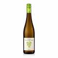 2023 Riesling QW, kuru, %12 hacim, Rebholz, ORGANIK - 750 ml - Sise