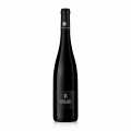 2022 Pinot Noir R QW, kuru, %12,5 hacim, Rebholz, ORGANIK - 750 ml - Sise