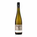 2023 Riesling QW, kuru, %12 hacim, F. Becker - 750 ml - Sise