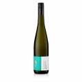 2020 Paradiesgarten Riesling, kuru, %13 hacim, Motzenbacker, ORGANIK - 750 ml - Sise