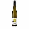 2023 Sauvignon Blanc, kuru, %12,5 hacim, Hofmann, ORGANIK VEGAN - 750 ml - Sise