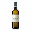 2023 Pinot Grigio, droog, 12,5% vol., Castello di Roncade - 750 ml - Fles