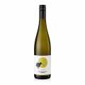 2024 Sauvignon Blanc QW, sec, 12,5% vol., Hofmann, ORGANIC, VEGAN - 750 ml - Sticla 2024 Sauvignon Blanc QW, sec, 12,5% vol., Hofmann, ORGANIC, VEGAN - 750 ml - Sticla
