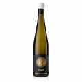 Riesling Steingruble QW del 2023, sec, 12% vol., Leon Gold, organic - 750 ml - Ampolla Riesling Steingruble QW del 2023, sec, 12% vol., Leon Gold, organic - 750 ml - Ampolla
