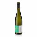 2023 Paradiesgarten Riesling, secco, 11,5% vol., Motzenbacker, biologico - 750 ml - Bottiglia 2023 Paradiesgarten Riesling, secco, 11,5% vol., Motzenbacker, biologico - 750 ml - Bottiglia