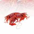 Gambero Rosso - Red King Prawn, with head and shell - approx. 1000 g, approx. 15 pieces - Gambero Rosso - Red King Prawn, with head and shell - approx. 1000 g, approx. 15 pieces -
