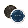Riofrio Classic Caviar, Naccarii, Sturgeon Caviar, no preservatives, organic - 50 g - can Riofrio Classic Caviar, Naccarii, Sturgeon Caviar, no preservatives, organic - 50 g - can