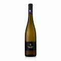 2023 Chardonnay R QW, dry, 13% vol., vine wood, organic - 750 ml - Bottle 2023 Chardonnay R QW, dry, 13% vol., vine wood, organic - 750 ml - Bottle