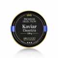 Selection Ossetra caviar (Acipenser gueldenstaedtii) - 250 g - can Selection Ossetra caviar (Acipenser gueldenstaedtii) - 250 g - can