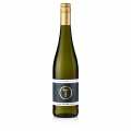 2024 Blanc de Noir Exclusive, QW, dry, 13.5% vol., Tina Pfaffmann - 750 ml - Bottle 2024 Blanc de Noir Exclusive, QW, dry, 13.5% vol., Tina Pfaffmann - 750 ml - Bottle