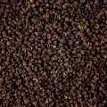 Timut pepper from Cambodia, opened, whole - 1 kg - bag Timut pepper from Cambodia, opened, whole - 1 kg - bag